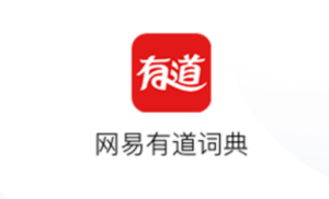 Youdao Translate Makes Multilingual Communication Effortless